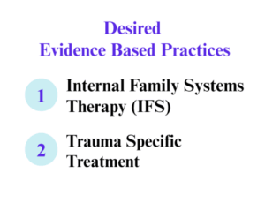 providers are most interested in receiving support to provide internal family systems therapy and trauma specific treatment